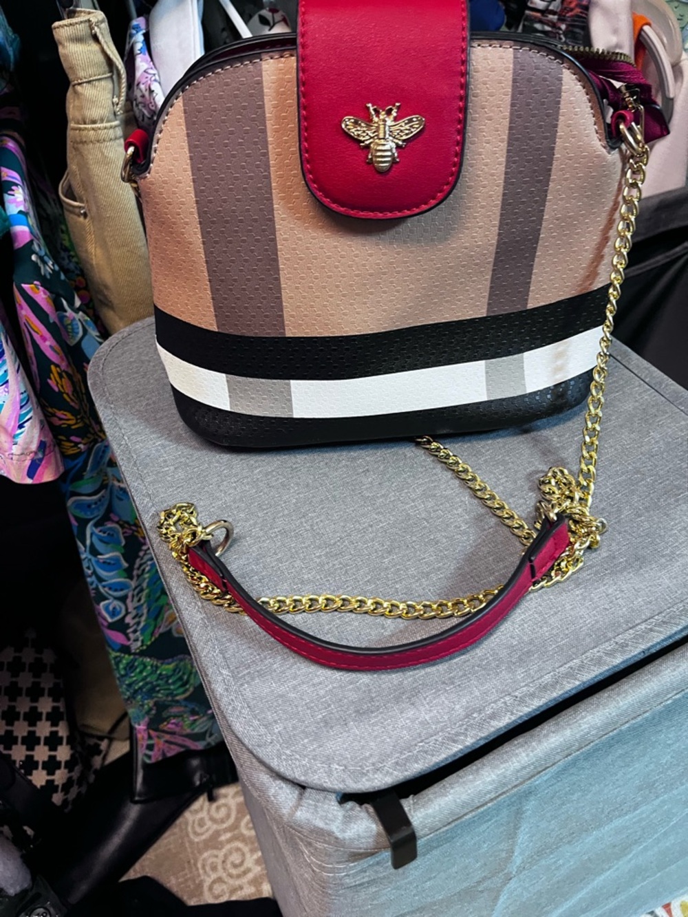 Striped Neutral Crossbody with Red Trim and Bee Accent